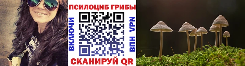 blacksprut   наркота  Светогорск  Псилоцибиновые грибы Cubensis 